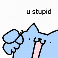 Spainnubcat GIF