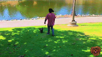 Trip Out GIF by Super Chill Paws