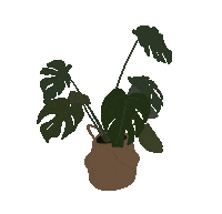 Plants Jungle Sticker