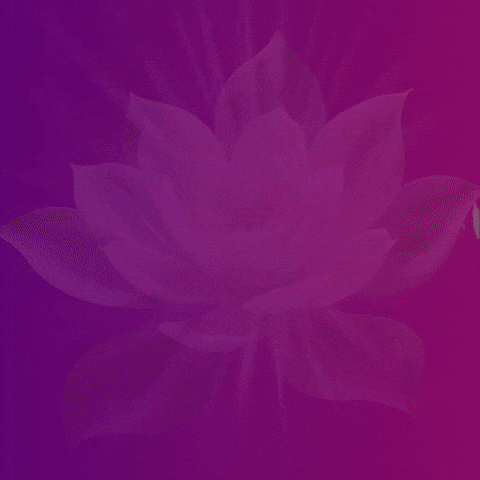 GIF by Bloomscroll