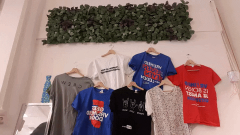 GIF by Bevrijdingspop