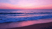 Beach Sunset GIF by The Prepared Performer