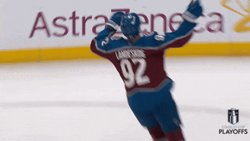 Happy National Hockey League GIF by NHL