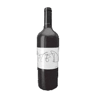 Good Morning Wow Sticker by unscriptedwine