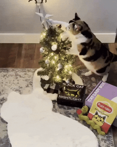 Christmas Tree Cat GIF