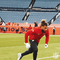 Regular Season Football GIF by NFL