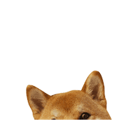 aennimoon cute dog shiba shibainu shibe Sticker