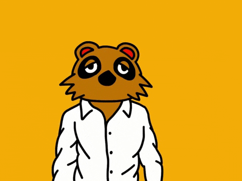 Animal Crossing No GIF