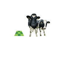 grasstecgroup farm agriculture farming cows Sticker