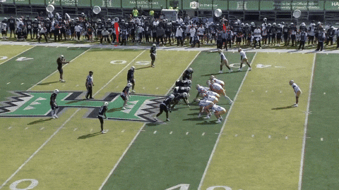 osgoodck giphyupload GIF