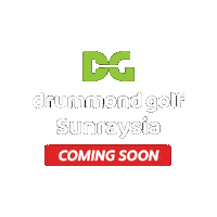 Dgsunraysia Sticker by DrummondGolf