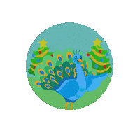 LioxFoundation peacock kerst esther liox foundation Sticker