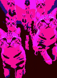 I Love You Baby Please GIF