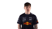 Red Bull Sr Sticker by Oracle Red Bull Racing