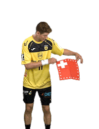 Sport Handball Sticker by HSC 2000 Coburg