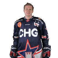 Ice Hockey Sticker by Ravensburg Towerstars