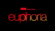 Series Euphoria GIF by Mirror