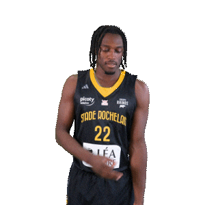 Basket Thomas Sticker by Stade Rochelais