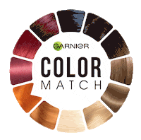 garnier color match Sticker