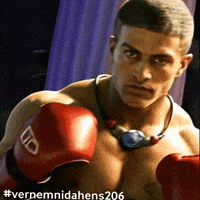 Vernemnidahens206 GIF