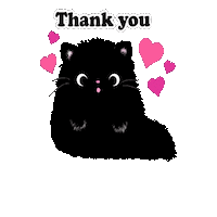Black Cat Thank You Sticker