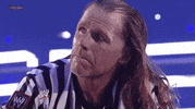 shawn michaels wrestling GIF by WWE