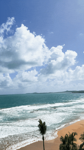 Puerto Rico Summer GIF