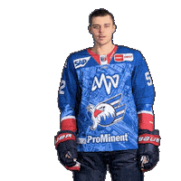 Nick Mattinen Sticker by Adler Mannheim