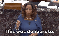 Stacey Plaskett GIF by GIPHY News
