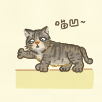 Tabby Cat GIF
