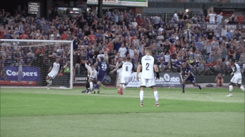 soccer goal GIF by Louisville City FC