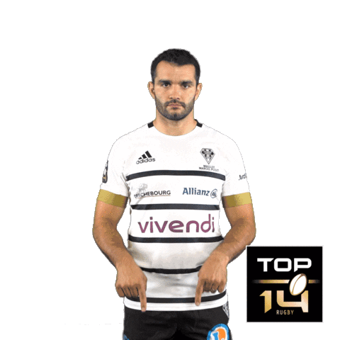 Top 14 Cab Sticker by Ligue Nationale de Rugby