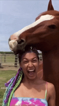 dezmineann black play horse silly GIF