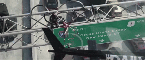 d4b123123r32513244 giphyupload GIF