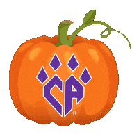 Cheer Athletics Sticker by CA Denver