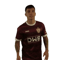 Come On Meyer Sticker by BFC Dynamo