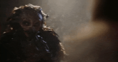 Halloween Bird GIF by Crypt TV