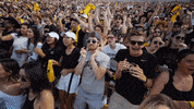 University Of Colorado Coloradobuffaloes GIF by CUBoulder