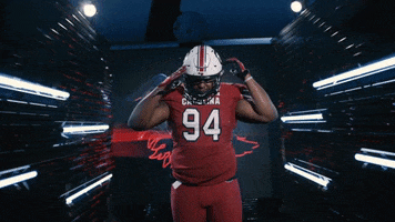 College Football GIF by gamecocksonline