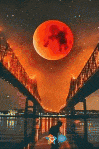 Luna Amigos GIF by Murcianys LLC