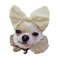 gue STICKER by imoji