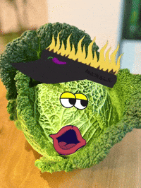Cabbage Wirsing GIF