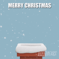 Merry Christmas GIF by Okay Bears