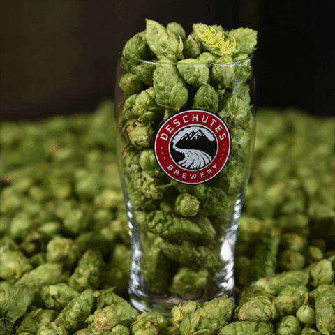 Beer Fresh Hops GIF by Deschutes Brewery