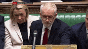 news uk british brexit parliament GIF