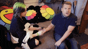James Corden No GIF by The Late Late Show with James Corden