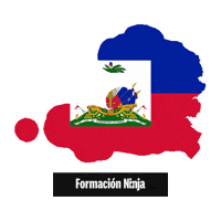 Haiti Flag Sticker by Formación Ninja