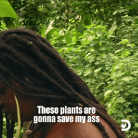 Naked And Afraid Plants GIF by Discovery