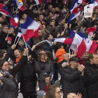 Womens6Nations fan fans womens six nations GIF