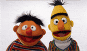 Bert And Ernie Lol GIF by Sesame Street